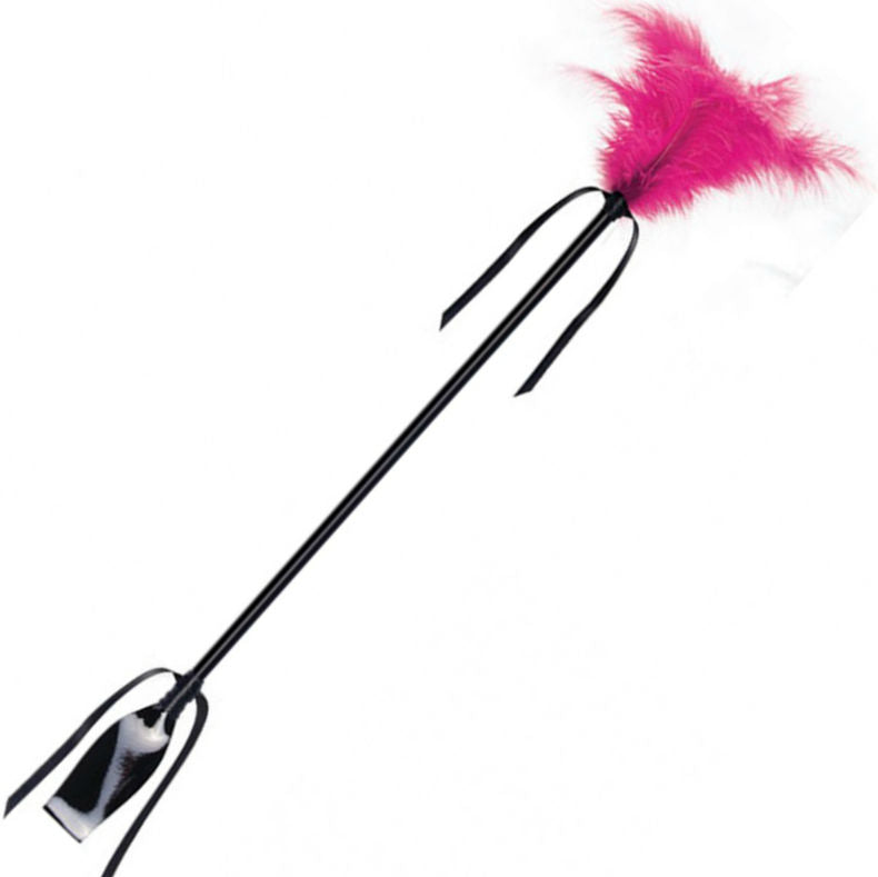 Pluma con Fusta Rosa